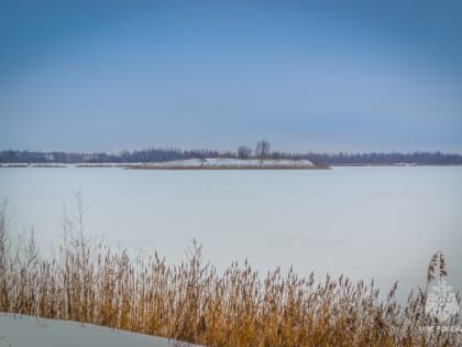 Лайт-версия января