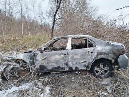 Синоптики рассказали о погоде в Смоленске в воскресенье