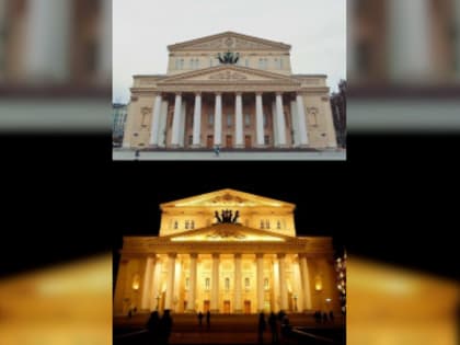 Ордастые кошки и красный бетон