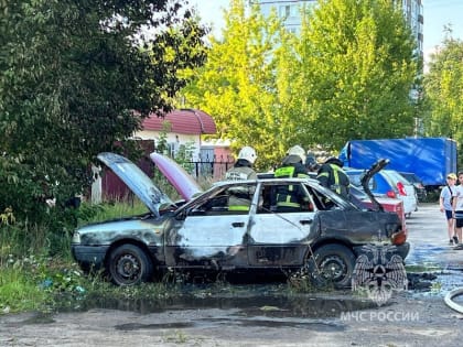 В Смоленске полыхали две легковушки