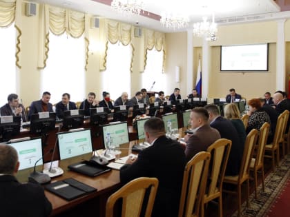 На очередной сессии обсудили итоги работы городской полиции