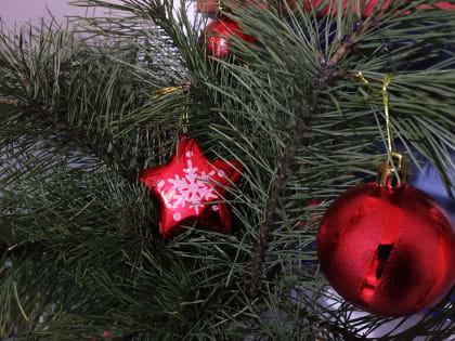 «Охранная зона»: в Заднепровье не установят новогоднюю елку около памятника самолету