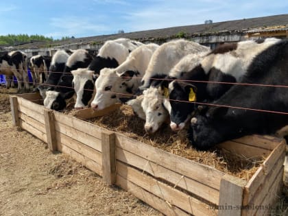Важность сельскохозяйственных животных в нашей жизни
