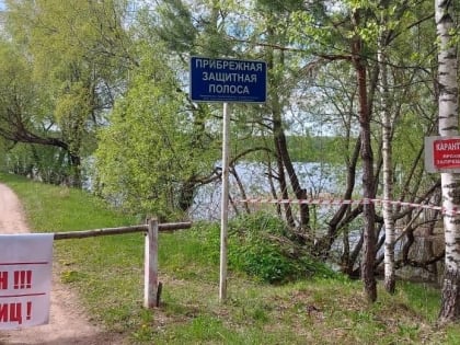 В Смоленской области выявлен новый очаг распространения птичьего гриппа