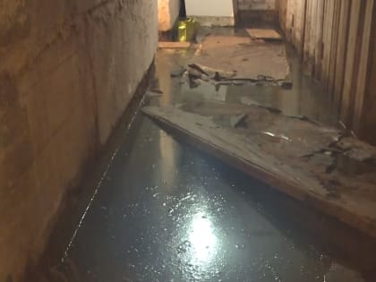 Под Смоленском возбуждено уголовное дело в отношении замглавы Сафоновского района