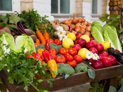 Открытая недавно в Смоленске фермерская ярмарка набирает популярность у смолян