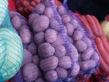 В Смоленской области выросла урожайность картофеля