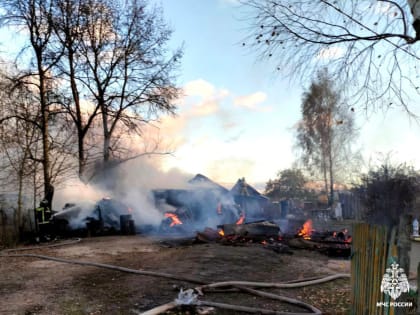 Пожар в Смоленской области унес жизни домашних птиц