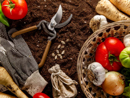 Секаторы: важный инструмент для каждого садовода