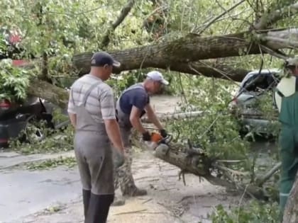 Городские службы в усиленном режиме устраняют последствия урагана