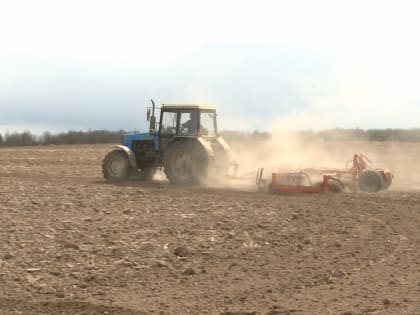 В Смоленской области посевная площадь озимой ржи выросла более чем на 42%