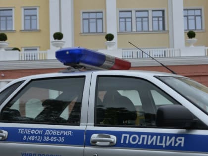 Жительница Смоленска обокрала маленького ребенка