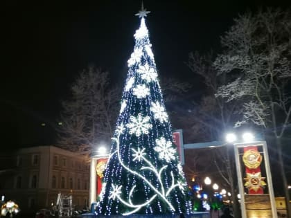 В Смоленске стали известны места установки новогодних елок