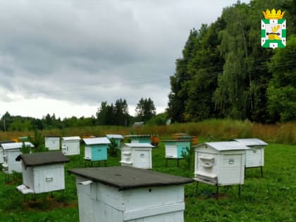 Развитие пчеловодства в Смоленской области
