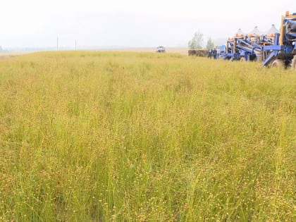 Индекс промышленного производства на Смоленщине превысил среднерроссийские показатели