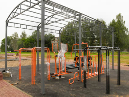 Под Смоленском обустроят спортивную площадку для сдачи норм ГТО