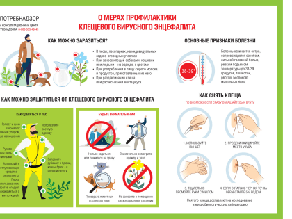 "Горячая линия" по профилактике клещевого энцефалита