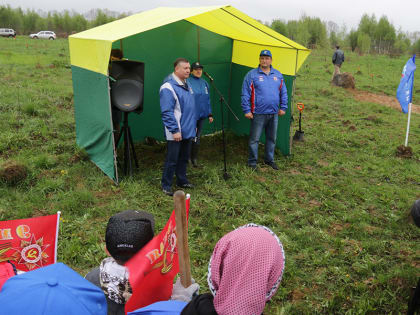 В Починке восстановили парк Победы