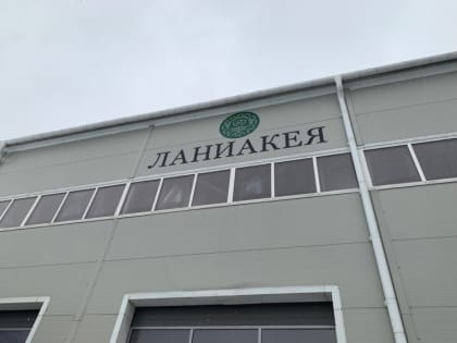 Глава Смоленска посетил компанию ООО «Ланиакея»
