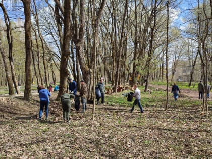 Очередной общегородской субботник в Смоленске запланирован на 29 апреля