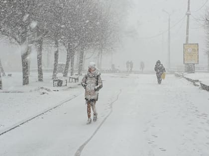 Из-за сильного ветра на Смоленщине действует "желтый" уровень погодной опасности