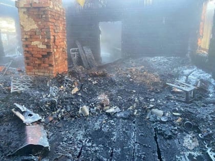 Погиб хозяина дома. В МЧС рассказали подробности трагического пожара под Смоленском