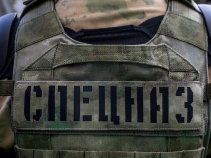 Делай, что хочешь – «Альфа» прикроет?