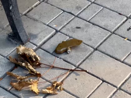 Тревога в Белгородском районе: атаки беспилотников и трагические последствия