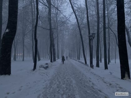 Во вторник на Смоленщине порывы ветра достигнут 17 м/с
