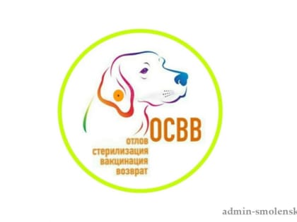 Информация о проведении процедуры ОСВВ (отлов-стерилизация-вакцинация-выпуск) на территории Смоленской области.