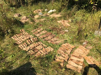 Под Смоленском ФСБ обнаружила схрон боеприпасов