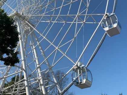 Новые аттракционы для гостей парка