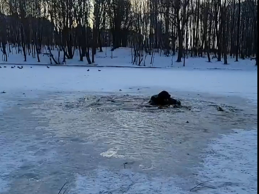 Луга утонул. Спасение утопающих на льду. Утопил на льду человека.