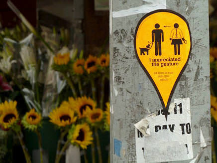 amor a primeira vista