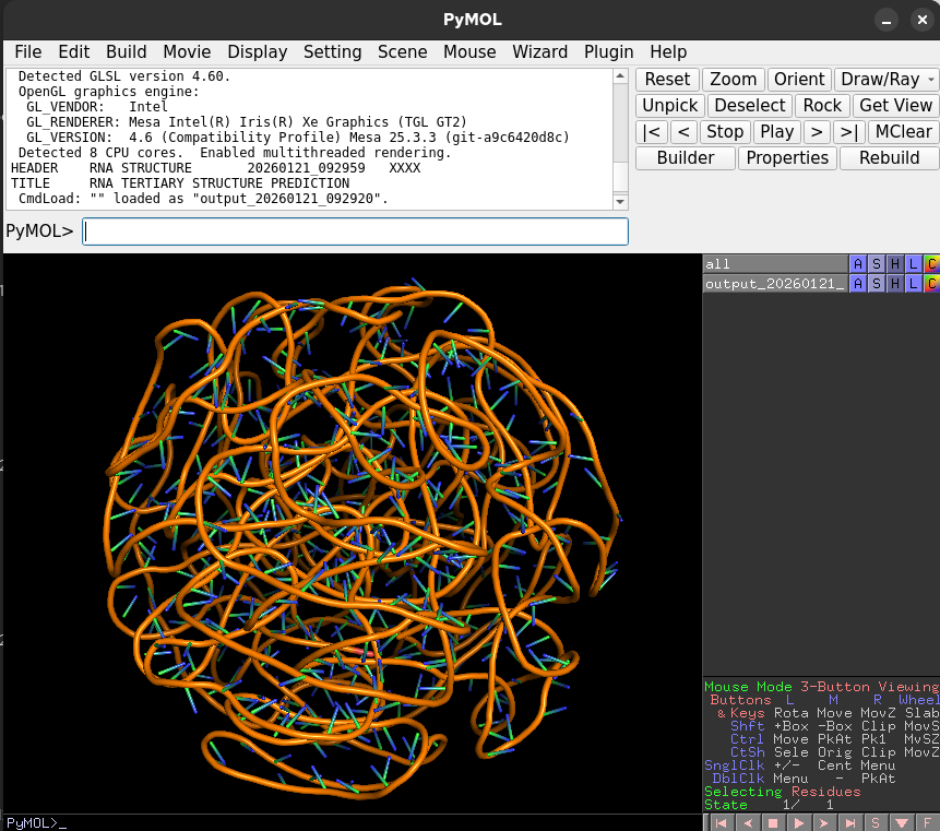 Pymol visualization of RNA structure