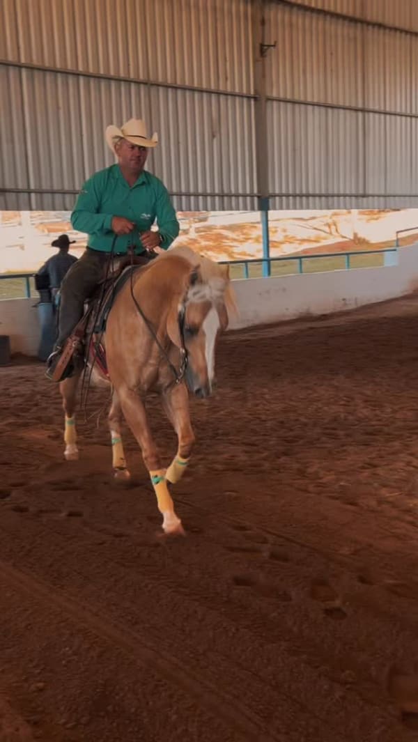 Enquanto a 2ª etapa da AGCR não chega, a gente segura a ansiedade revivendo os melhores momentos da 