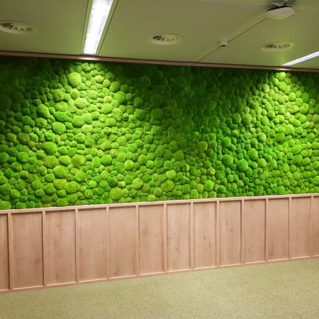 Ball Moss acoustic panel close-up