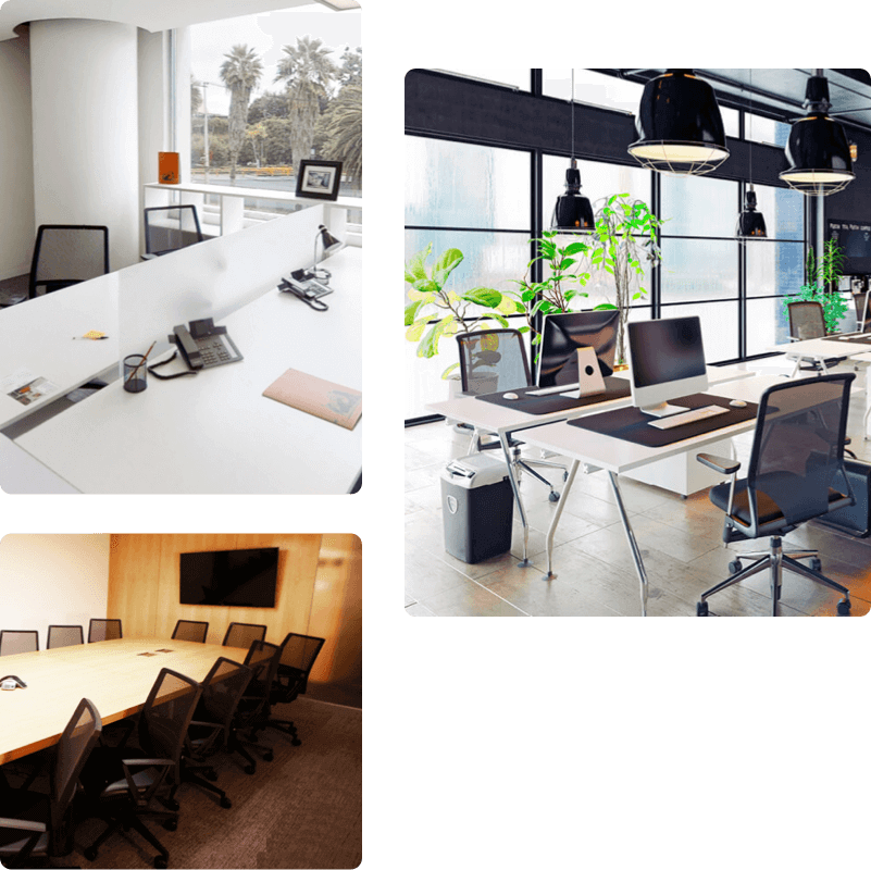 Servicios de administración