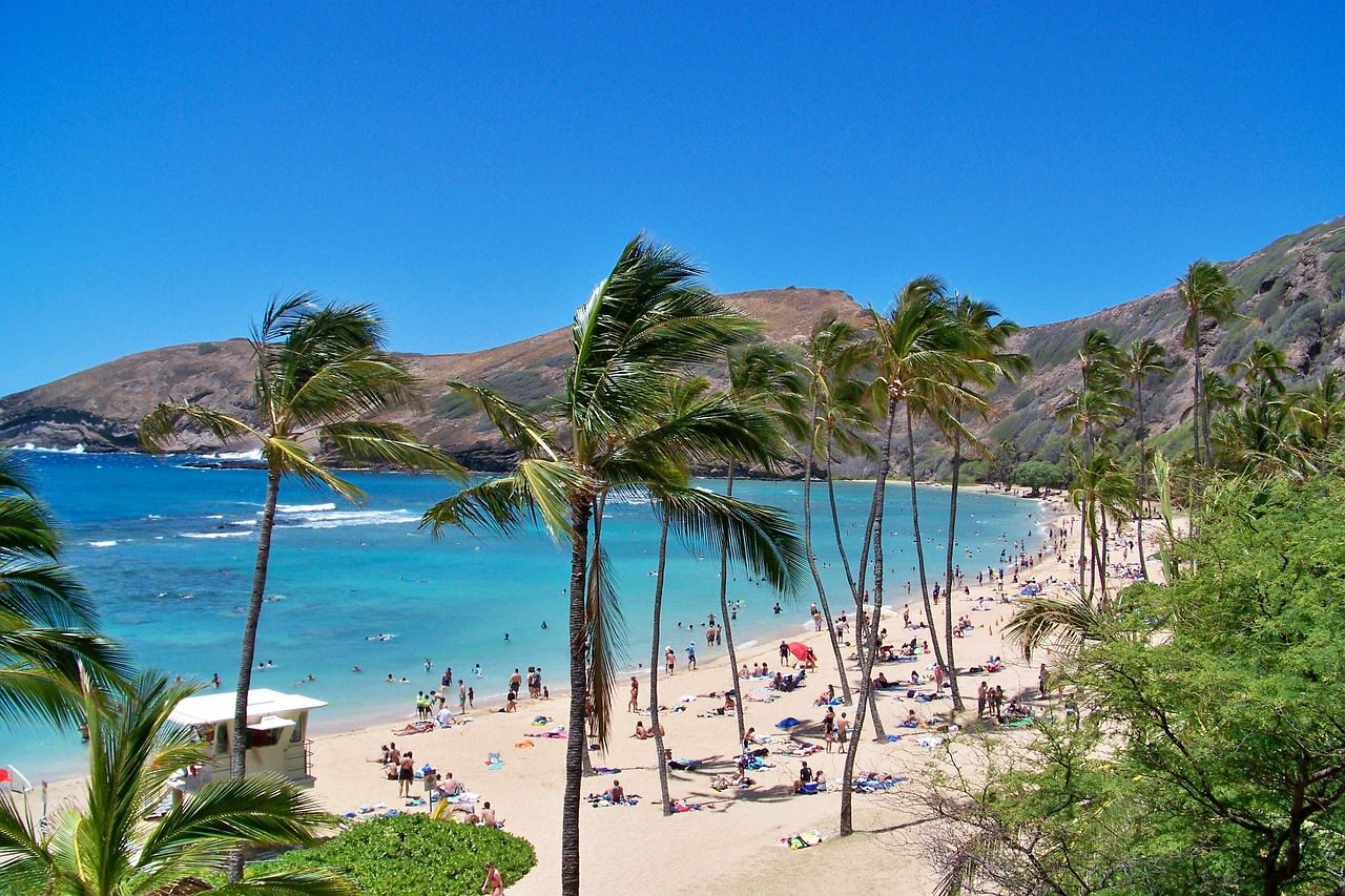 Christmas in Hawaii: The Year I Swapped Frostbite for Flip-Flops