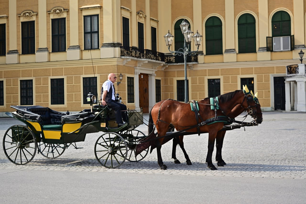 Vienna: The City I Tried Really Hard to Like