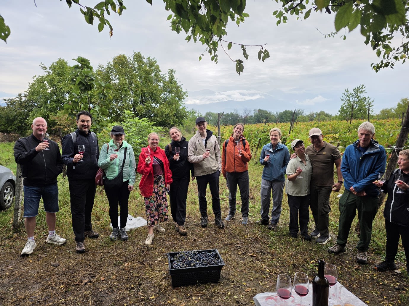 Grape Picking In Georgia