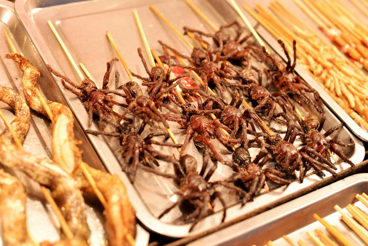 I Went to China Looking for Booze. I Found Snake Wine And Mystery Food - China Travel and China Food guide from The Tipple Times