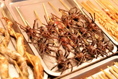 Read more: I Went to China Looking for Booze. I Found Snake Wine And Mystery Food