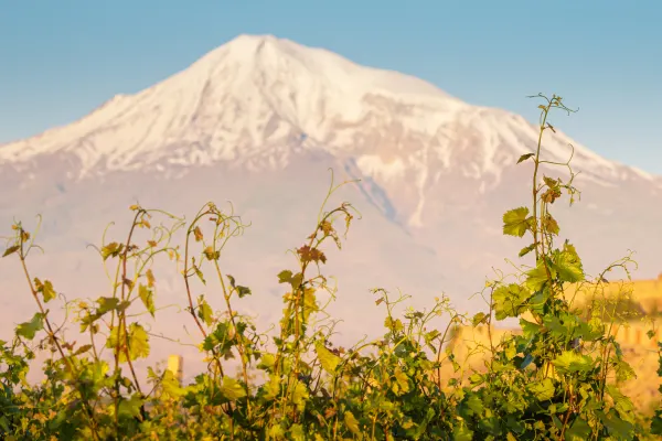 Armenia Wine Tour: History's Longest Happy Hour Armenia - wine tour experience photo 5