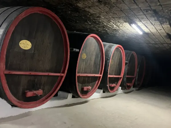 Moldova Wine Tour: Sip Happens Underground Moldova - wine tour experience photo 4