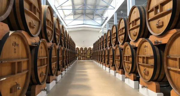 Moldova Wine Tour: Sip Happens Underground Moldova - wine tour experience photo 8