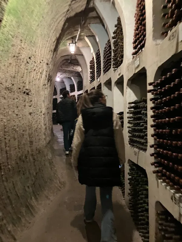 Moldova Wine Tour: Sip Happens Underground Moldova - wine tour experience photo 9