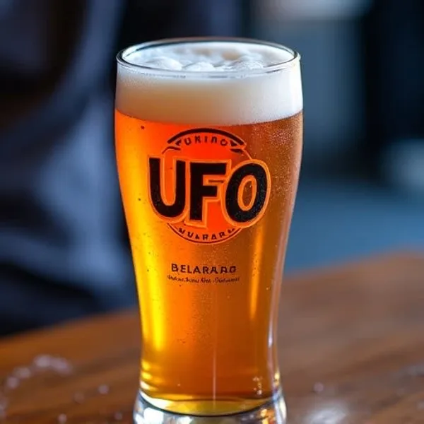 Ale-ien Encounters: A Completely Rational Guide to UFOs & Beer - Tipple Tours blog