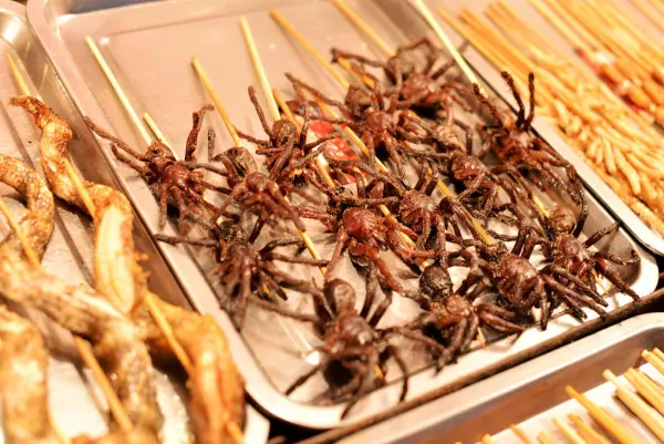 I Went to China Looking for Booze. I Found Snake Wine And Mystery Food - Tipple Tours blog