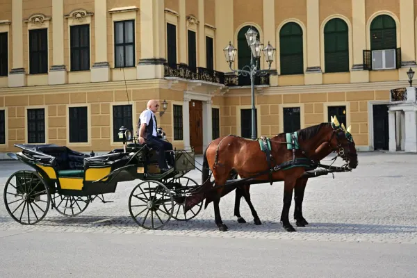 Vienna: The City I Tried Really Hard to Like - Tipple Tours blog